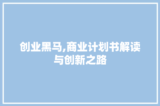 创业黑马,商业计划书解读与创新之路