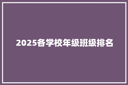 2025各学校年级班级排名