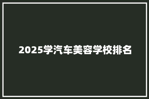 2025学汽车美容学校排名