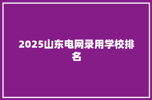 2025山东电网录用学校排名