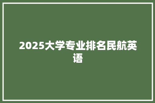 2025大学专业排名民航英语