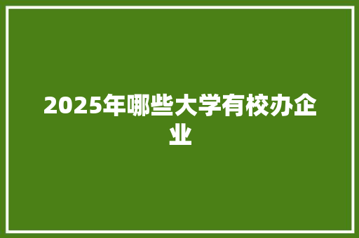 2025年哪些大学有校办企业