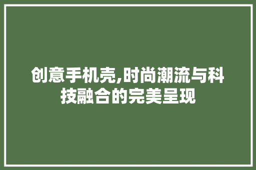 创意手机壳,时尚潮流与科技融合的完美呈现