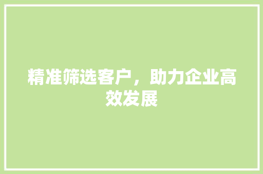 精准筛选客户，助力企业高效发展