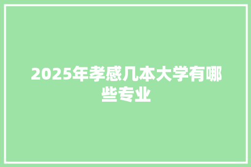 2025年孝感几本大学有哪些专业