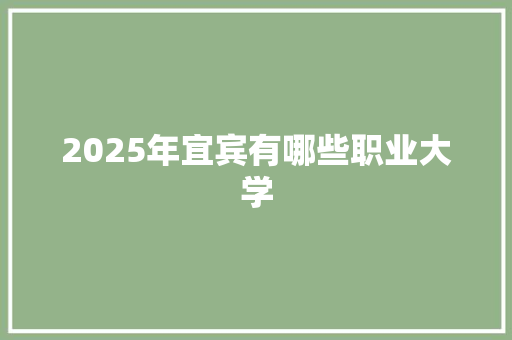 2025年宜宾有哪些职业大学