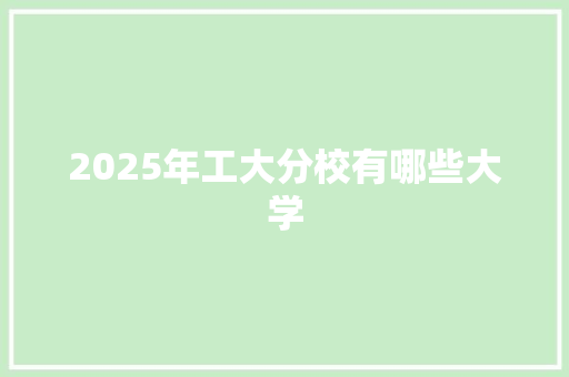 2025年工大分校有哪些大学