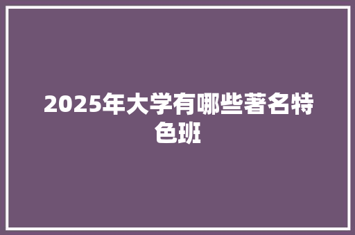 2025年大学有哪些著名特色班