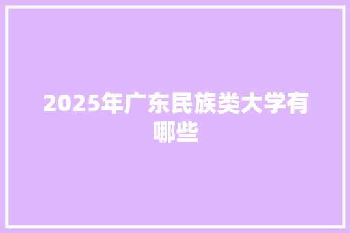 2025年广东民族类大学有哪些