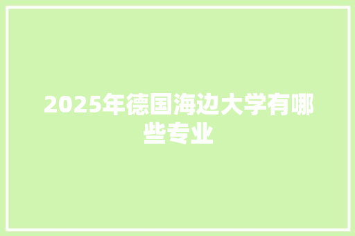 2025年德国海边大学有哪些专业