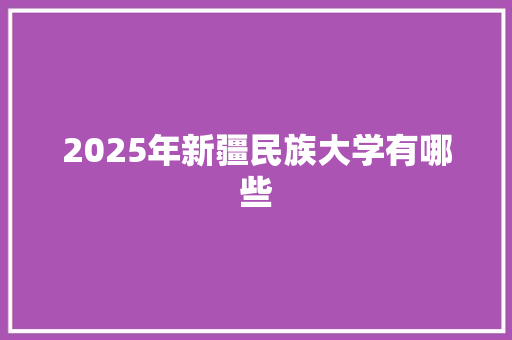 2025年新疆民族大学有哪些