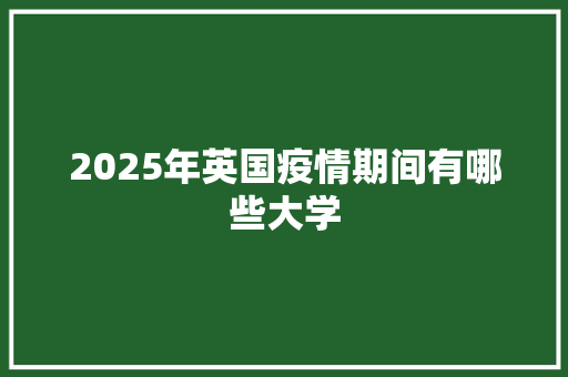 2025年英国疫情期间有哪些大学