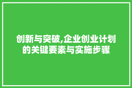 创新与突破,企业创业计划的关键要素与实施步骤