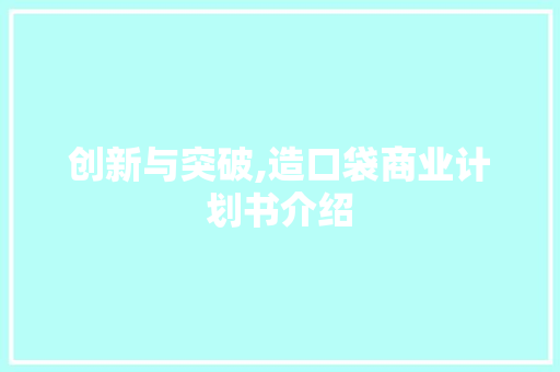 创新与突破,造口袋商业计划书介绍