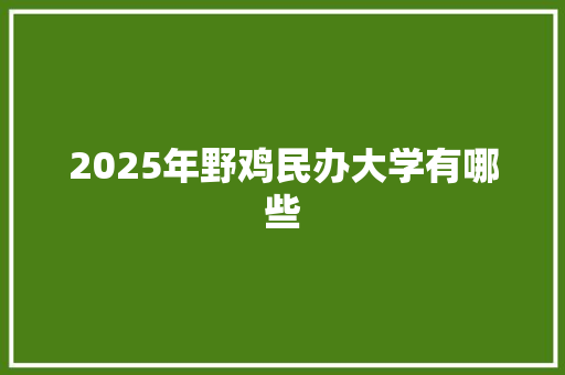 2025年野鸡民办大学有哪些