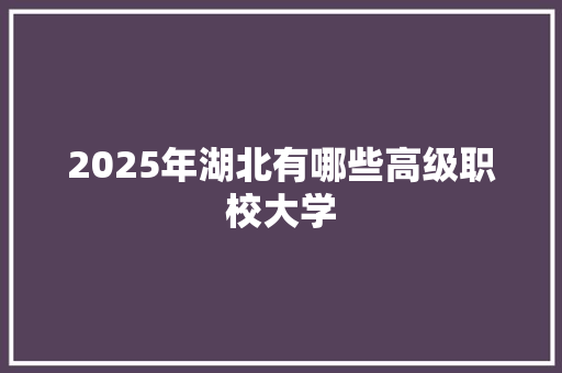 2025年湖北有哪些高级职校大学