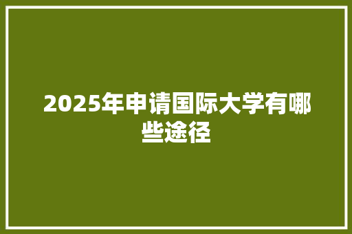 2025年申请国际大学有哪些途径