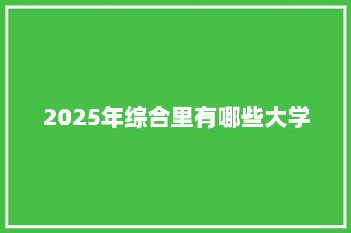 2025年综合里有哪些大学