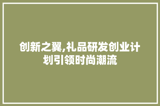 创新之翼,礼品研发创业计划引领时尚潮流