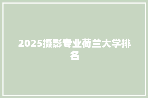2025摄影专业荷兰大学排名
