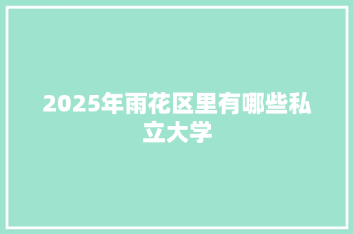 2025年雨花区里有哪些私立大学