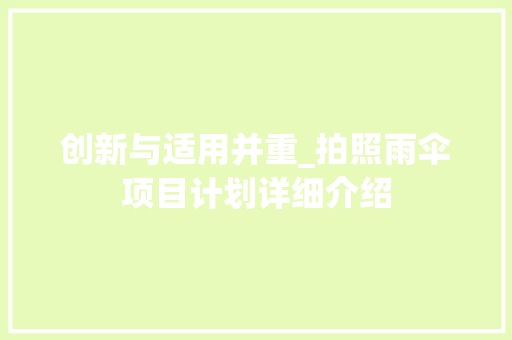 创新与适用并重_拍照雨伞项目计划详细介绍