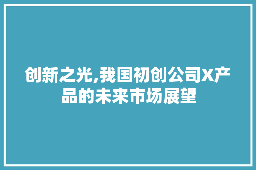 创新之光,我国初创公司X产品的未来市场展望