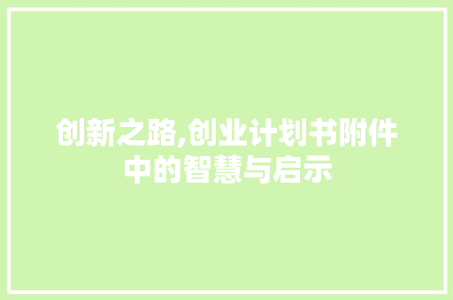 创新之路,创业计划书附件中的智慧与启示