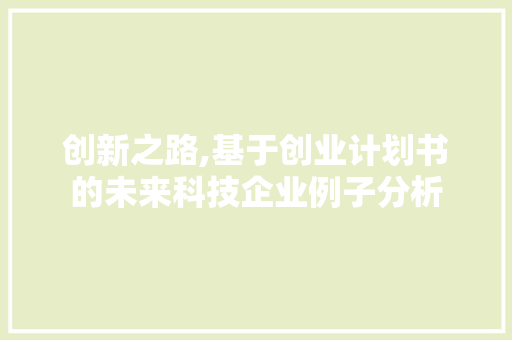 创新之路,基于创业计划书的未来科技企业例子分析