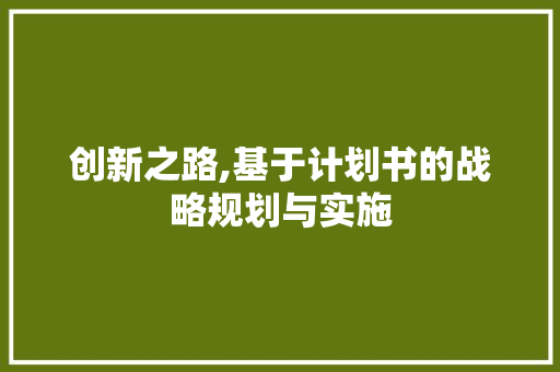 创新之路,基于计划书的战略规划与实施