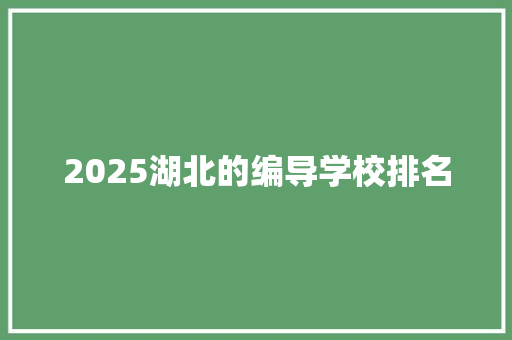 2025湖北的编导学校排名