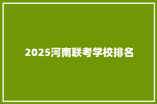 2025河南联考学校排名