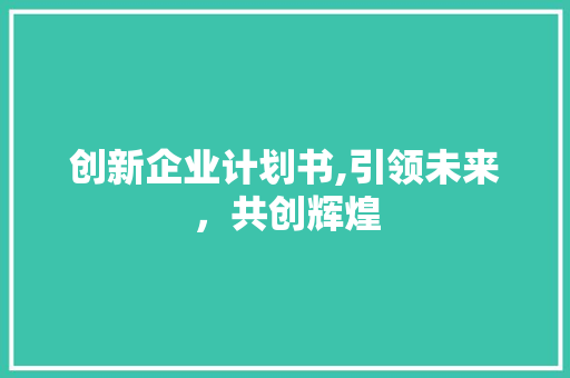 创新企业计划书,引领未来，共创辉煌