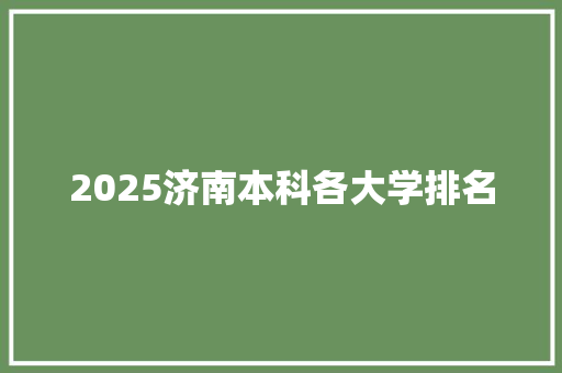 2025济南本科各大学排名